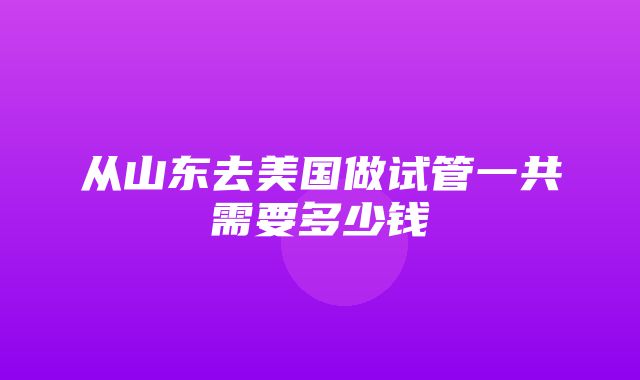 从山东去美国做试管一共需要多少钱