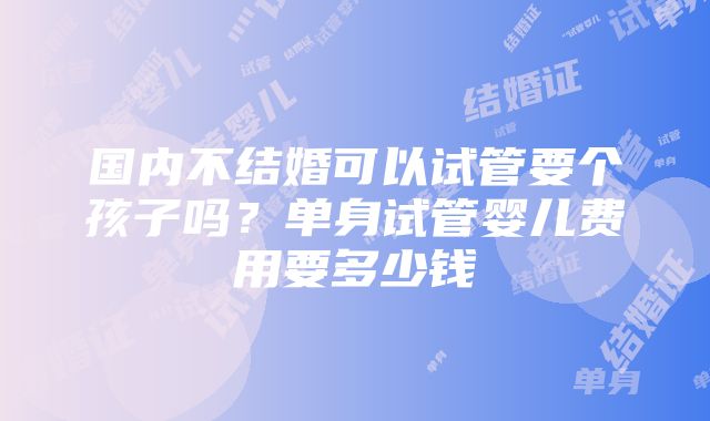 国内不结婚可以试管要个孩子吗？单身试管婴儿费用要多少钱