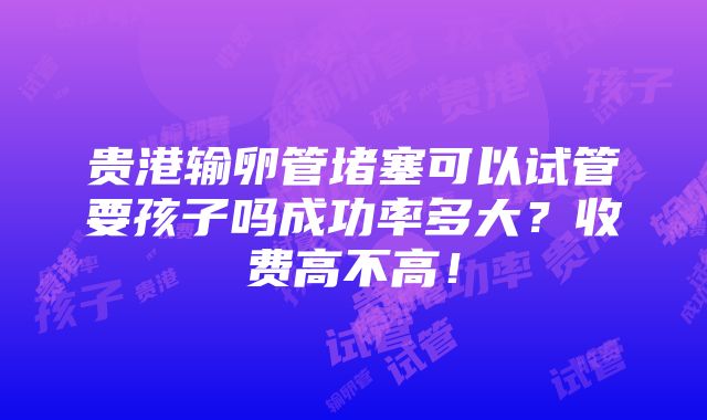 贵港输卵管堵塞可以试管要孩子吗成功率多大？收费高不高！