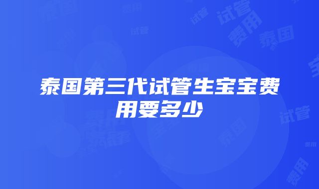 泰国第三代试管生宝宝费用要多少