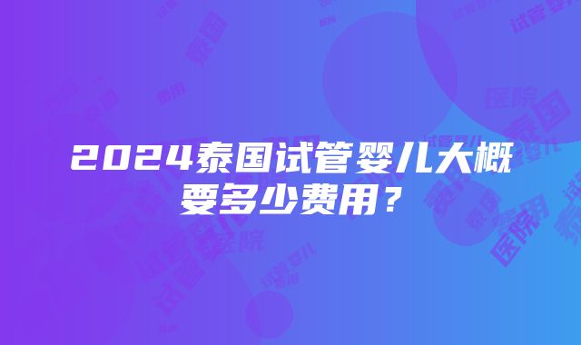 2024泰国试管婴儿大概要多少费用？