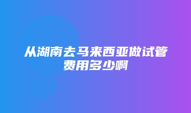 从湖南去马来西亚做试管费用多少啊