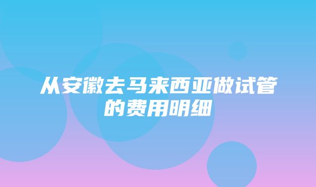 从安徽去马来西亚做试管的费用明细