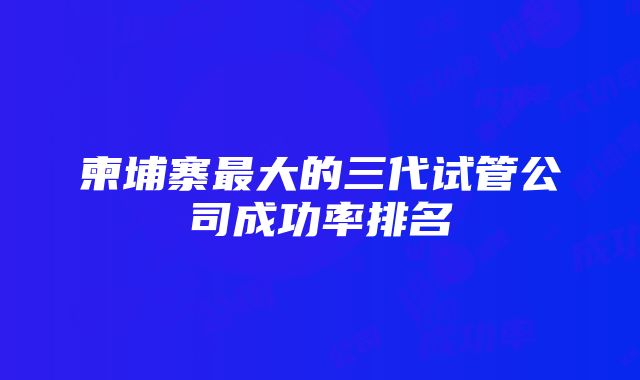 柬埔寨最大的三代试管公司成功率排名