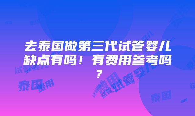 去泰国做第三代试管婴儿缺点有吗！有费用参考吗？