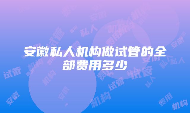 安徽私人机构做试管的全部费用多少