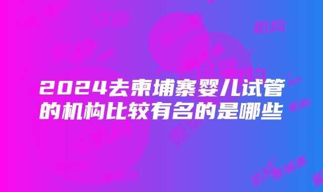 2024去柬埔寨婴儿试管的机构比较有名的是哪些