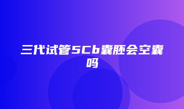 三代试管5Cb囊胚会空囊吗