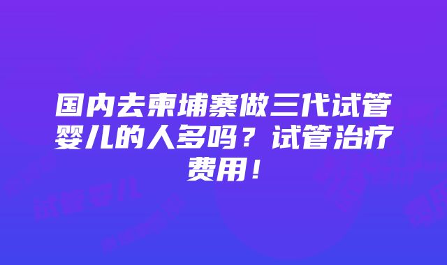 国内去柬埔寨做三代试管婴儿的人多吗？试管治疗费用！