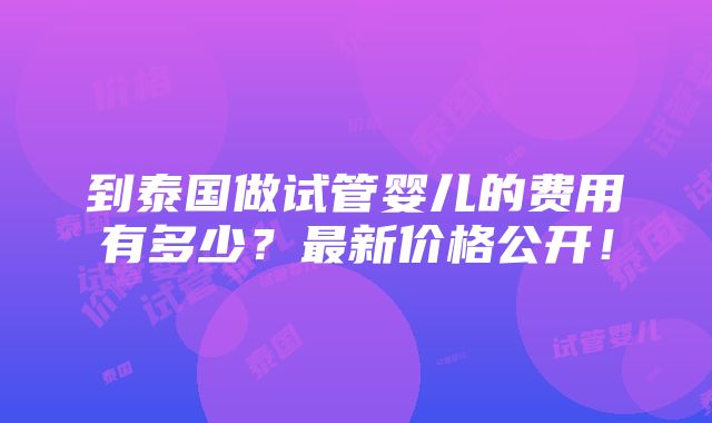 到泰国做试管婴儿的费用有多少？最新价格公开！