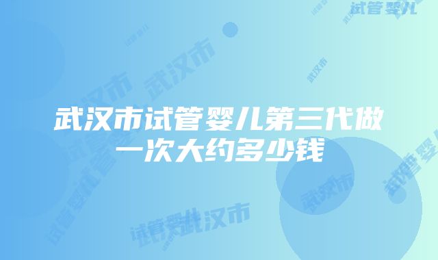 武汉市试管婴儿第三代做一次大约多少钱