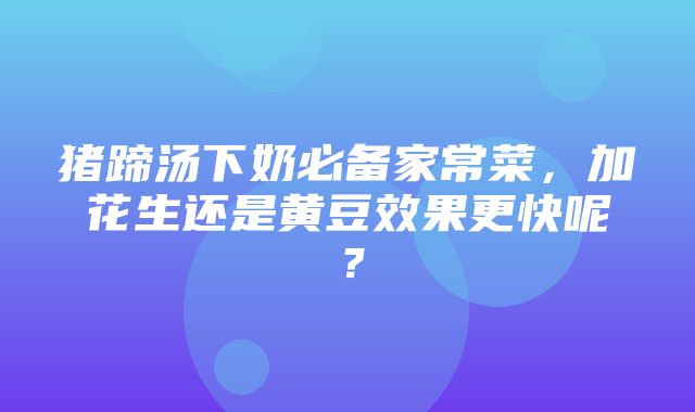 猪蹄汤下奶必备家常菜，加花生还是黄豆效果更快呢？