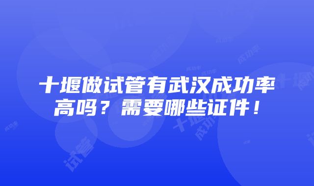 十堰做试管有武汉成功率高吗？需要哪些证件！