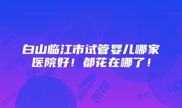 白山临江市试管婴儿哪家医院好！都花在哪了！