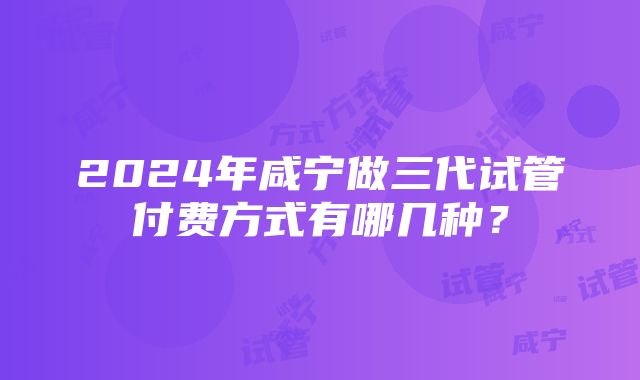 2024年咸宁做三代试管付费方式有哪几种？