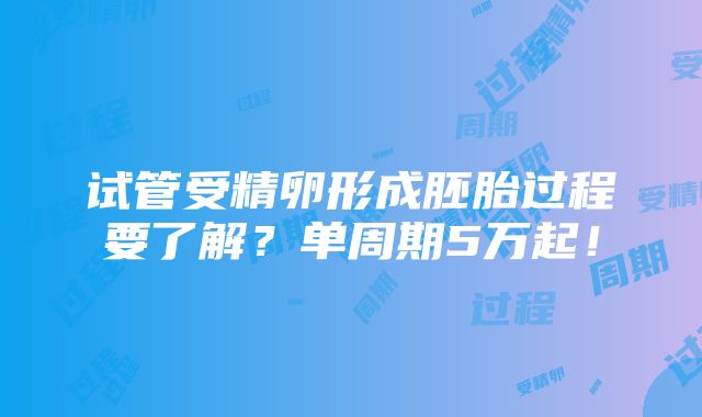 试管受精卵形成胚胎过程要了解？单周期5万起！