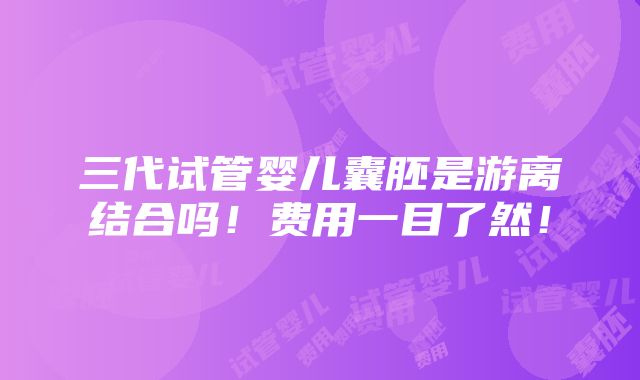 三代试管婴儿囊胚是游离结合吗！费用一目了然！