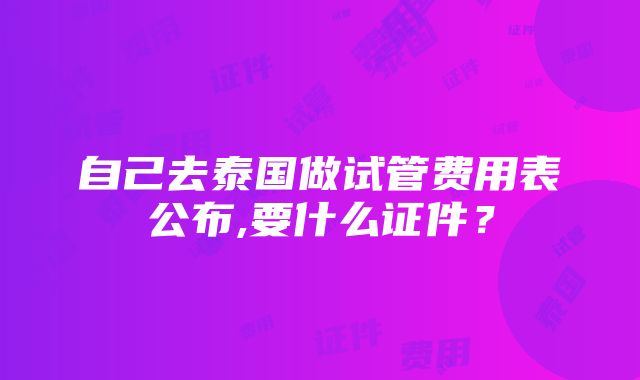 自己去泰国做试管费用表公布,要什么证件？