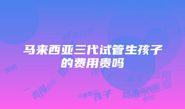 马来西亚三代试管生孩子的费用贵吗