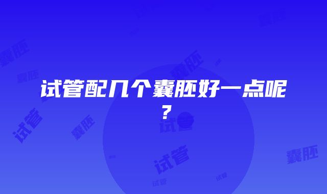 试管配几个囊胚好一点呢？