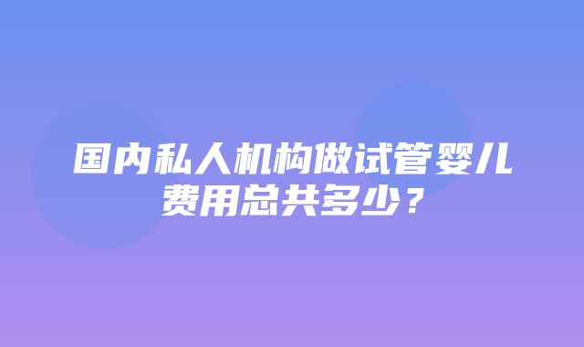 国内私人机构做试管婴儿费用总共多少？