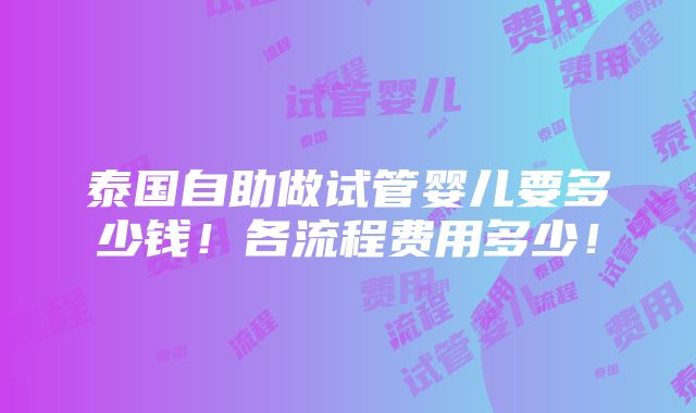 泰国自助做试管婴儿要多少钱！各流程费用多少！