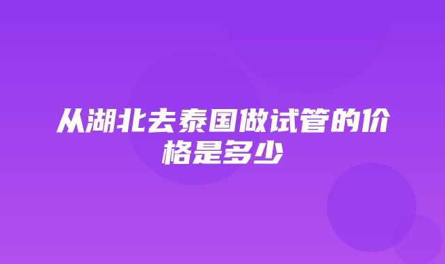 从湖北去泰国做试管的价格是多少