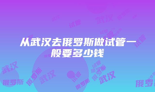 从武汉去俄罗斯做试管一般要多少钱