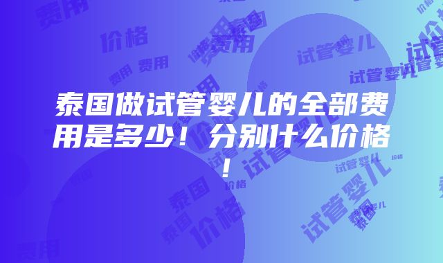 泰国做试管婴儿的全部费用是多少！分别什么价格！