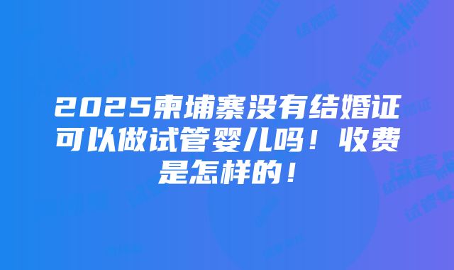 2025柬埔寨没有结婚证可以做试管婴儿吗！收费是怎样的！