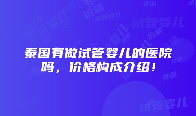 泰国有做试管婴儿的医院吗，价格构成介绍！