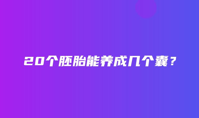 20个胚胎能养成几个囊？