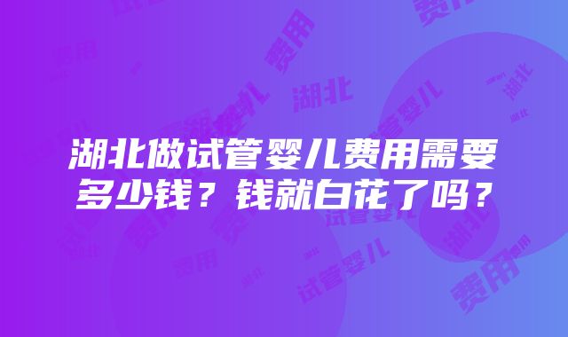 湖北做试管婴儿费用需要多少钱？钱就白花了吗？