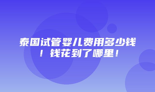 泰国试管婴儿费用多少钱！钱花到了哪里！