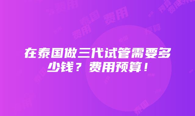 在泰国做三代试管需要多少钱？费用预算！