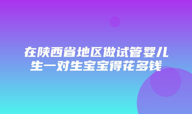 在陕西省地区做试管婴儿生一对生宝宝得花多钱