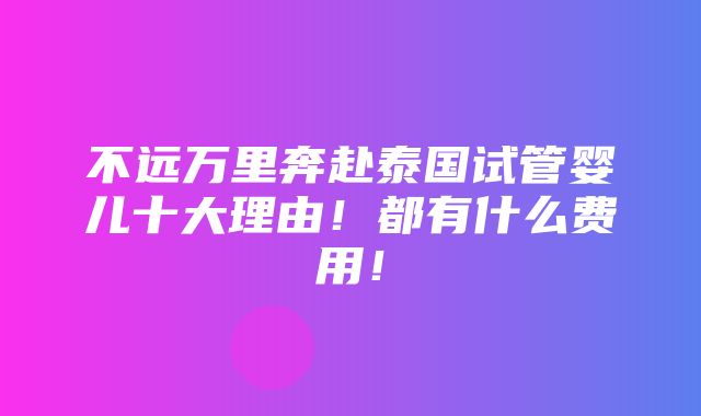 不远万里奔赴泰国试管婴儿十大理由！都有什么费用！