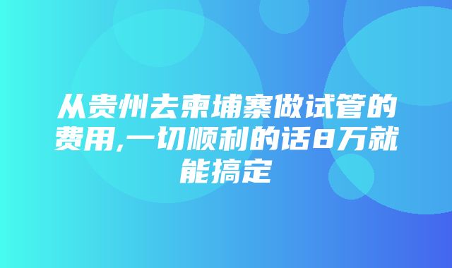 从贵州去柬埔寨做试管的费用,一切顺利的话8万就能搞定