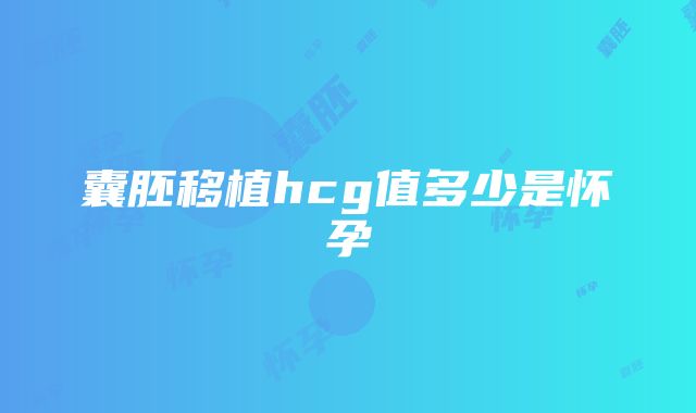 囊胚移植hcg值多少是怀孕