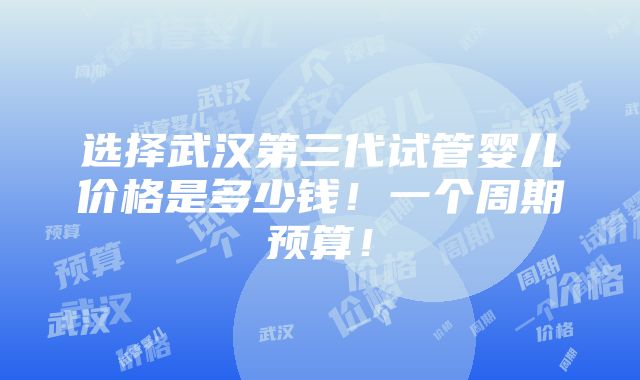 选择武汉第三代试管婴儿价格是多少钱！一个周期预算！