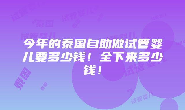 今年的泰国自助做试管婴儿要多少钱！全下来多少钱！