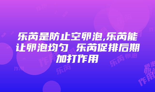 乐芮是防止空卵泡,乐芮能让卵泡均匀 乐芮促排后期加打作用