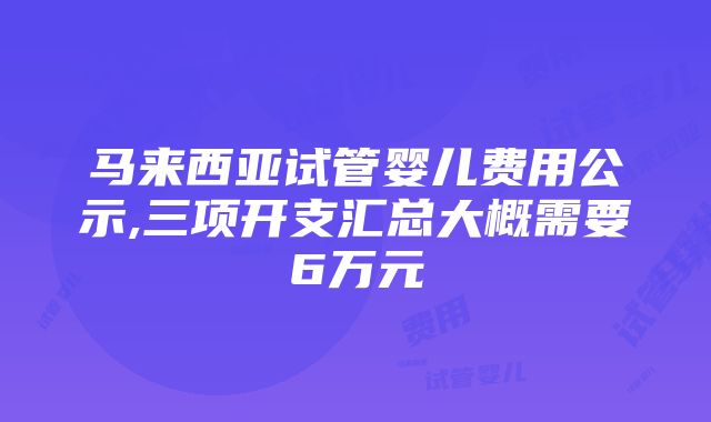 马来西亚试管婴儿费用公示,三项开支汇总大概需要6万元