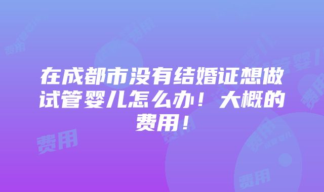 在成都市没有结婚证想做试管婴儿怎么办！大概的费用！