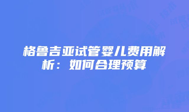 格鲁吉亚试管婴儿费用解析：如何合理预算