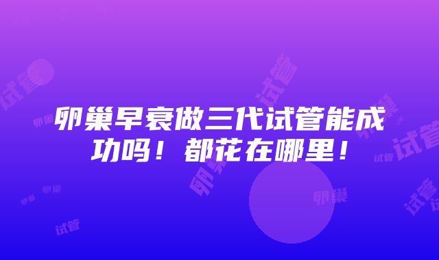 卵巢早衰做三代试管能成功吗！都花在哪里！