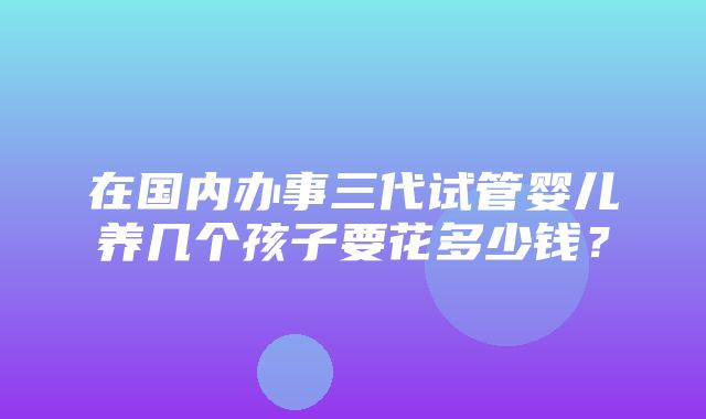 在国内办事三代试管婴儿养几个孩子要花多少钱？