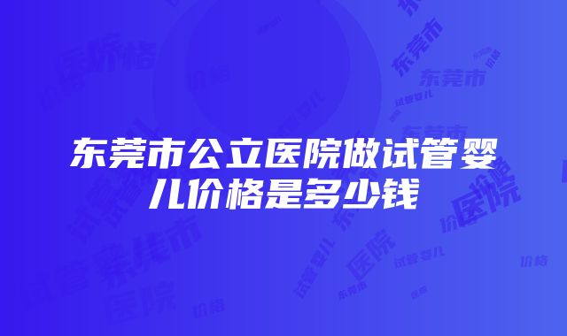 东莞市公立医院做试管婴儿价格是多少钱