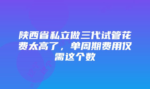 陕西省私立做三代试管花费太高了，单周期费用仅需这个数