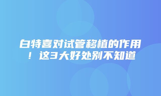 白特喜对试管移植的作用！这3大好处别不知道